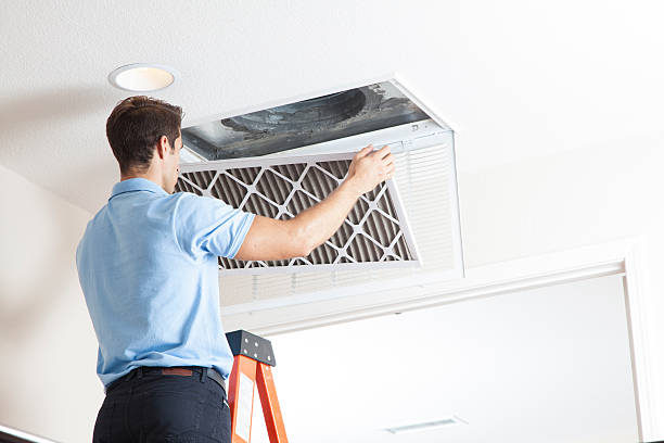 Best Local HVAC companies  in Wimauma, FL